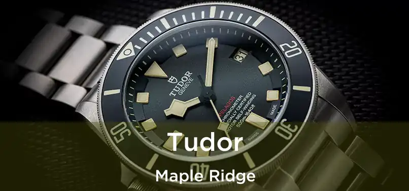  Tudor Maple Ridge
